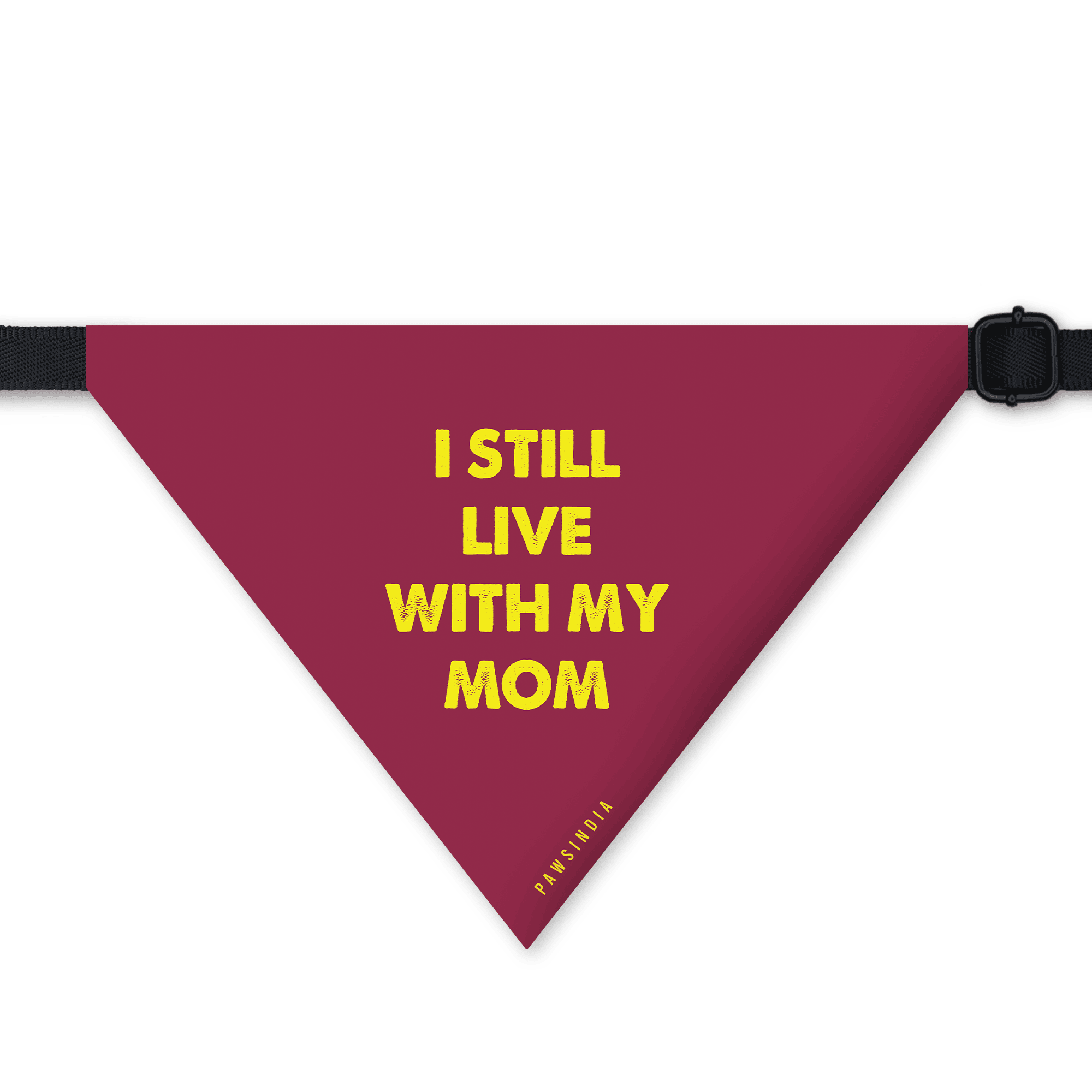 LKdaemzV69-20-IstilllivewithmyMom.png