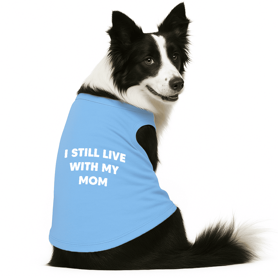 LQmhhw9ts8C-I_Still_Live_With_My_Mom_-_XXL_-_Blue_067e09e3-69ca-416a-8f0e-c23945bc05d5.png