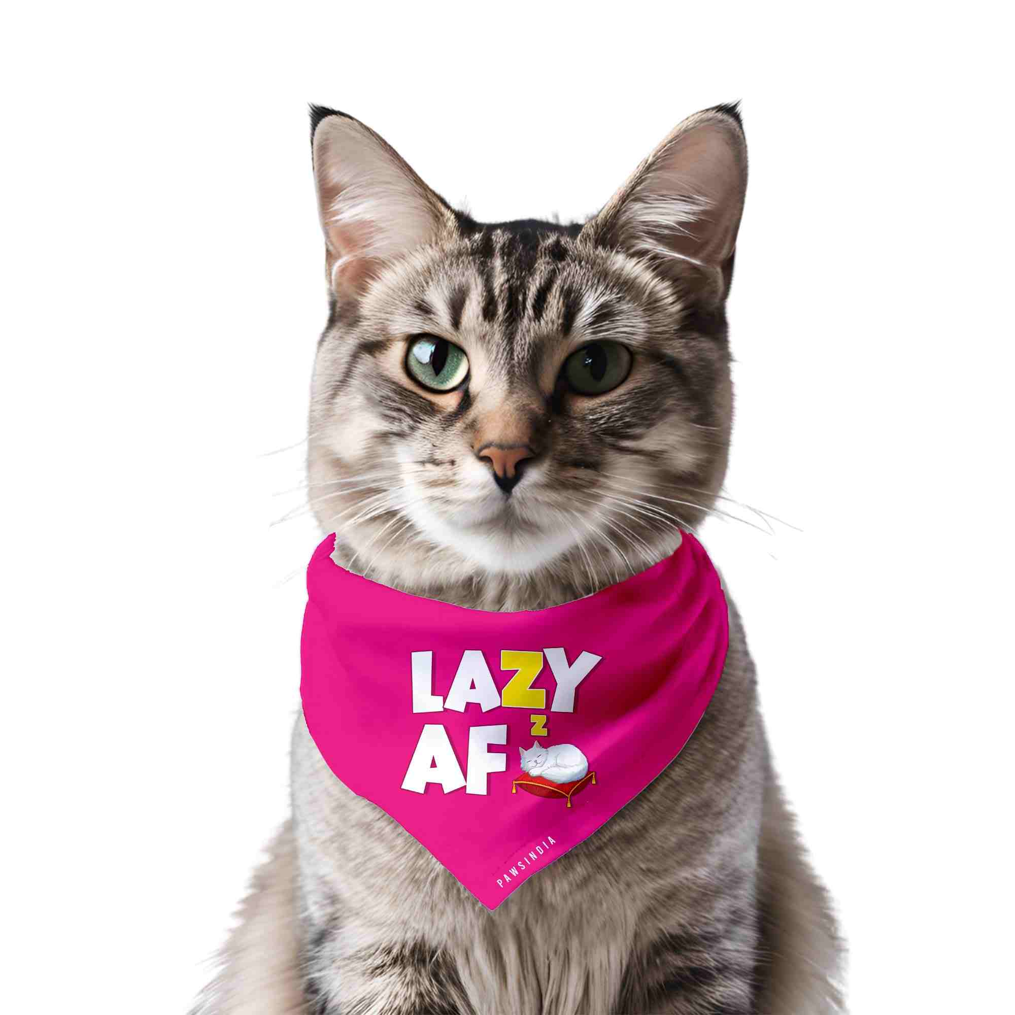 NR26Db0eij-lazyaf.jpg