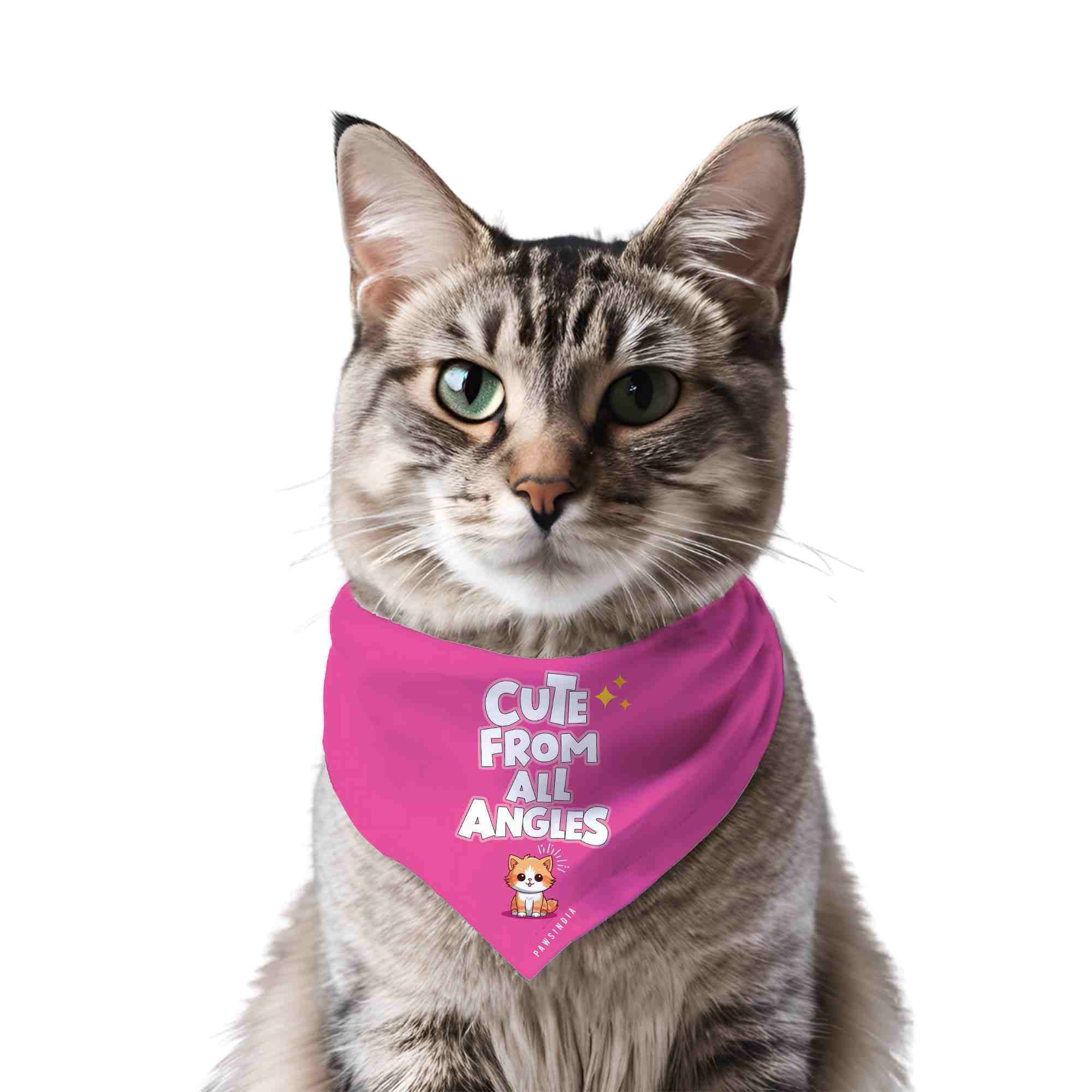 Vci4PsbK5I-cutefromallanglescat.jpg