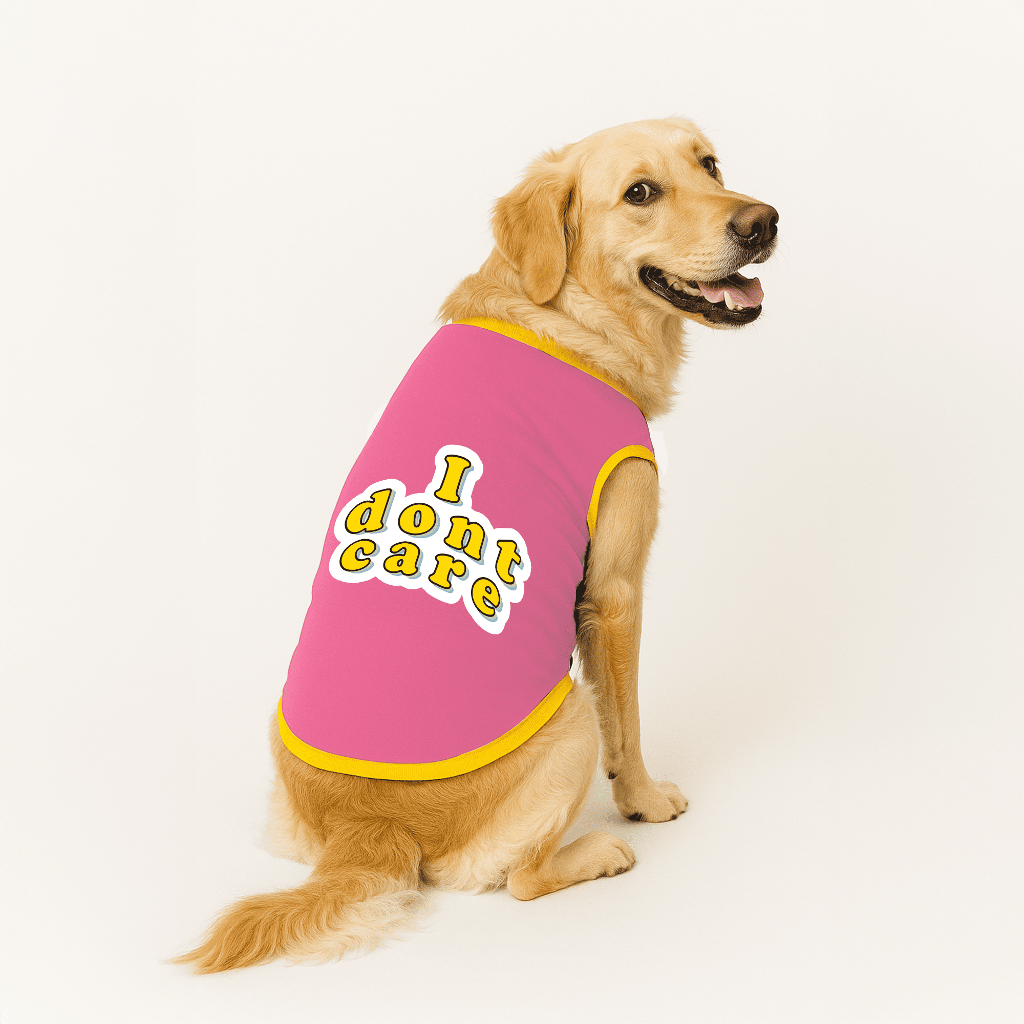 WzYoTyfAvn-i_dont_care_b8e5dc81-6177-4a39-ba36-b7ea8b8b0526.png