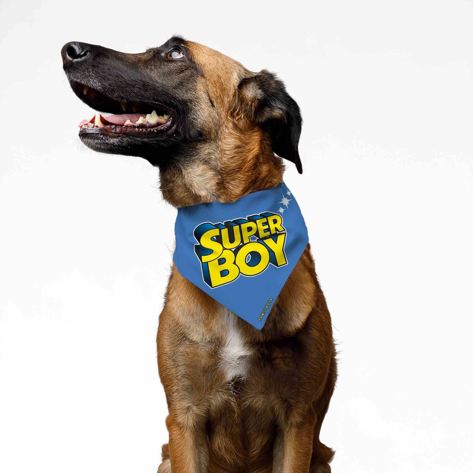 b_Mv8lIMMZ-superboufrontdog_5d47b125-9eeb-49ea-8677-ee6f56f54d37.jpg