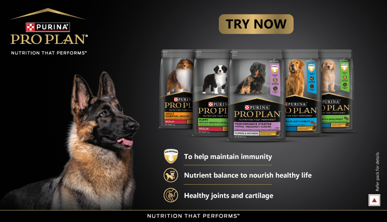 jd-pro-plan-banner-responsive