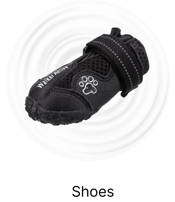 jd_category_monsoon_shoes