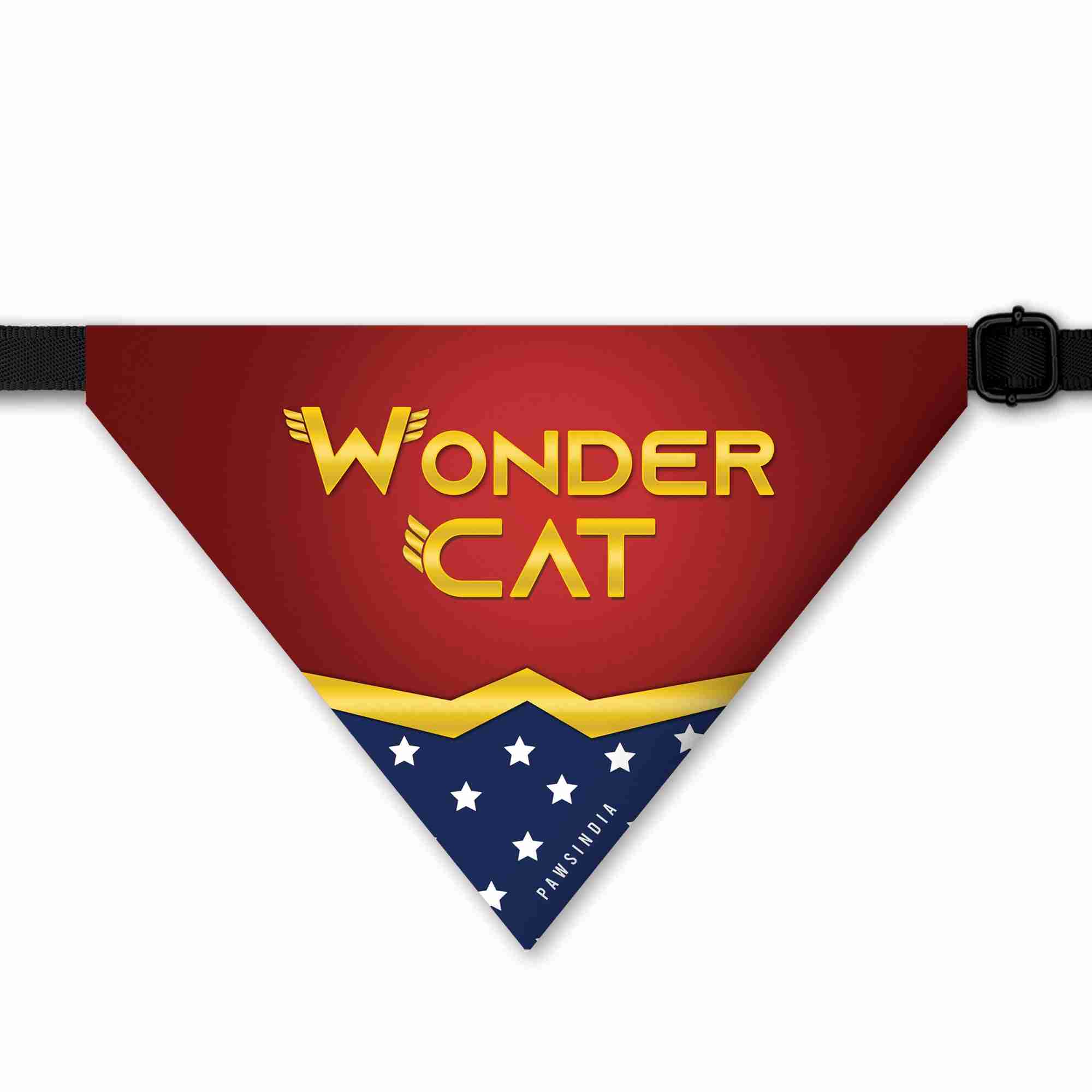p6GslpOeNG-wondercat.jpg