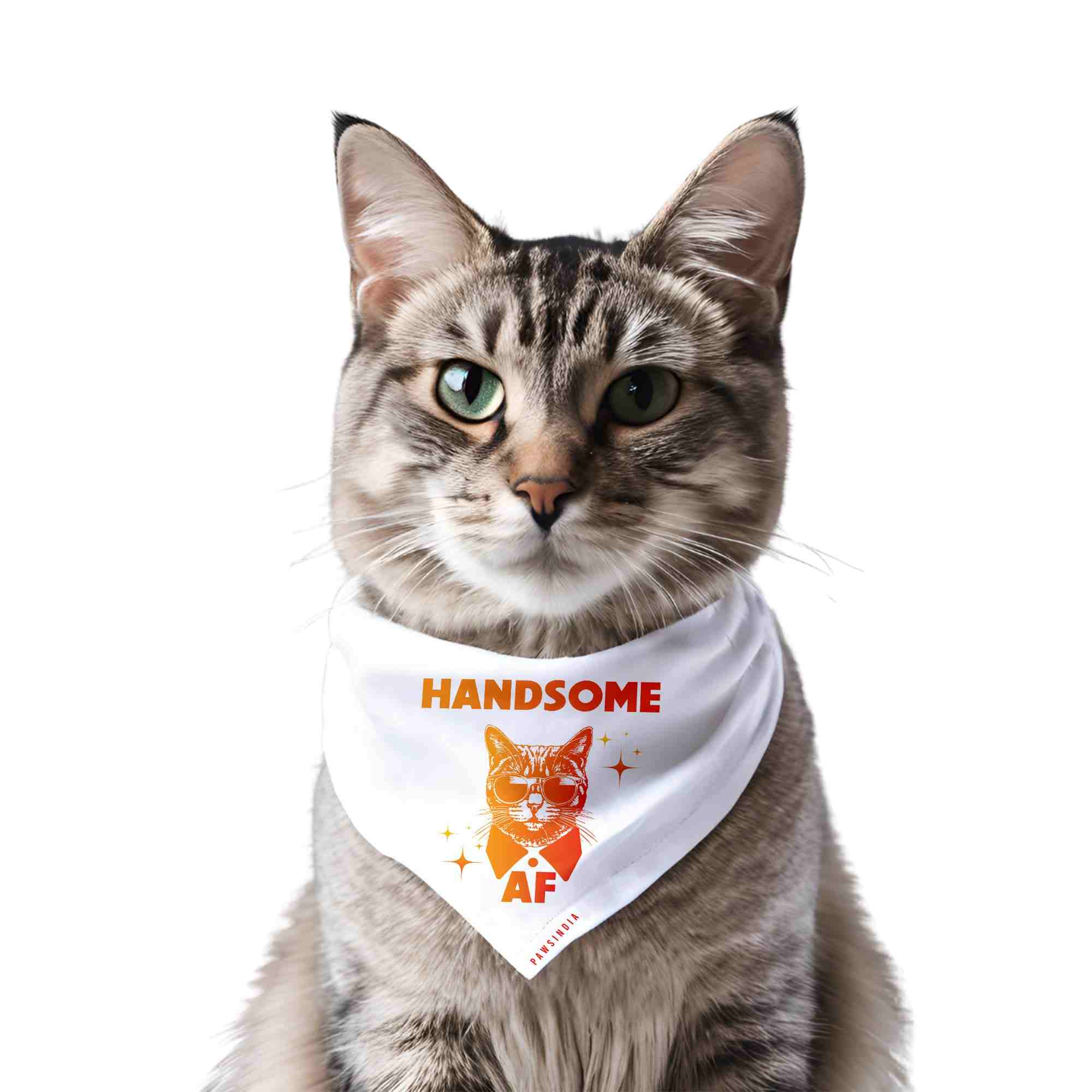 yZ8hN_FMTK-handsomeaf.jpg