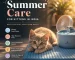 Cat staying cool indoors during extreme Indian summer