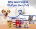 Beat the Heat: Why Wet Food is Must for Your Pets